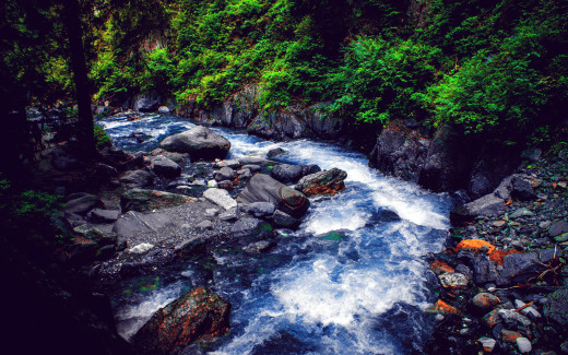 1262473 (a): :2560x1600